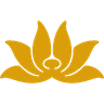 VN