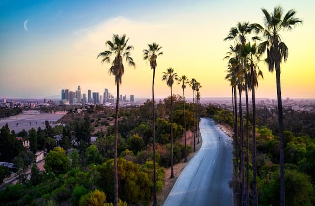 Mumbai to Los Angeles