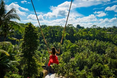 Kintamani & Bali Swing Adventure Image 3