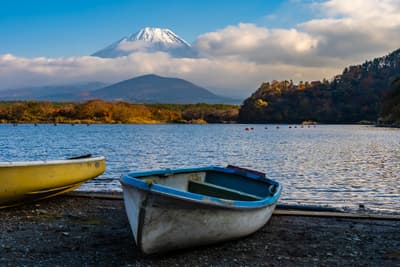 Mount Fuji & Hakone Excursion Image 2