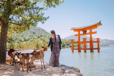 Nara Excursion Image 3