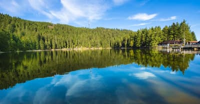 Baden-Baden & Titisee (Black Forest) Image 2